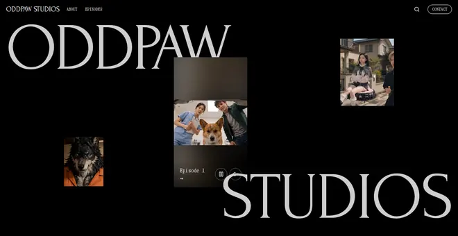 Midnight template